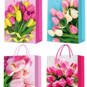 Bolsas de regalo Mod Y1201 (valor es por docena que trae 4 modelos) Tamaños  mediano - grande