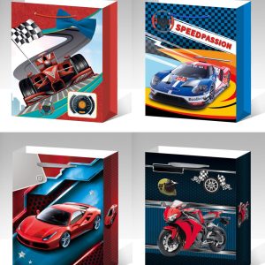 Bolsas de regalo Mod Y1535 (valor es por docena que trae 4 modelos) Tamaños  mediano - grande